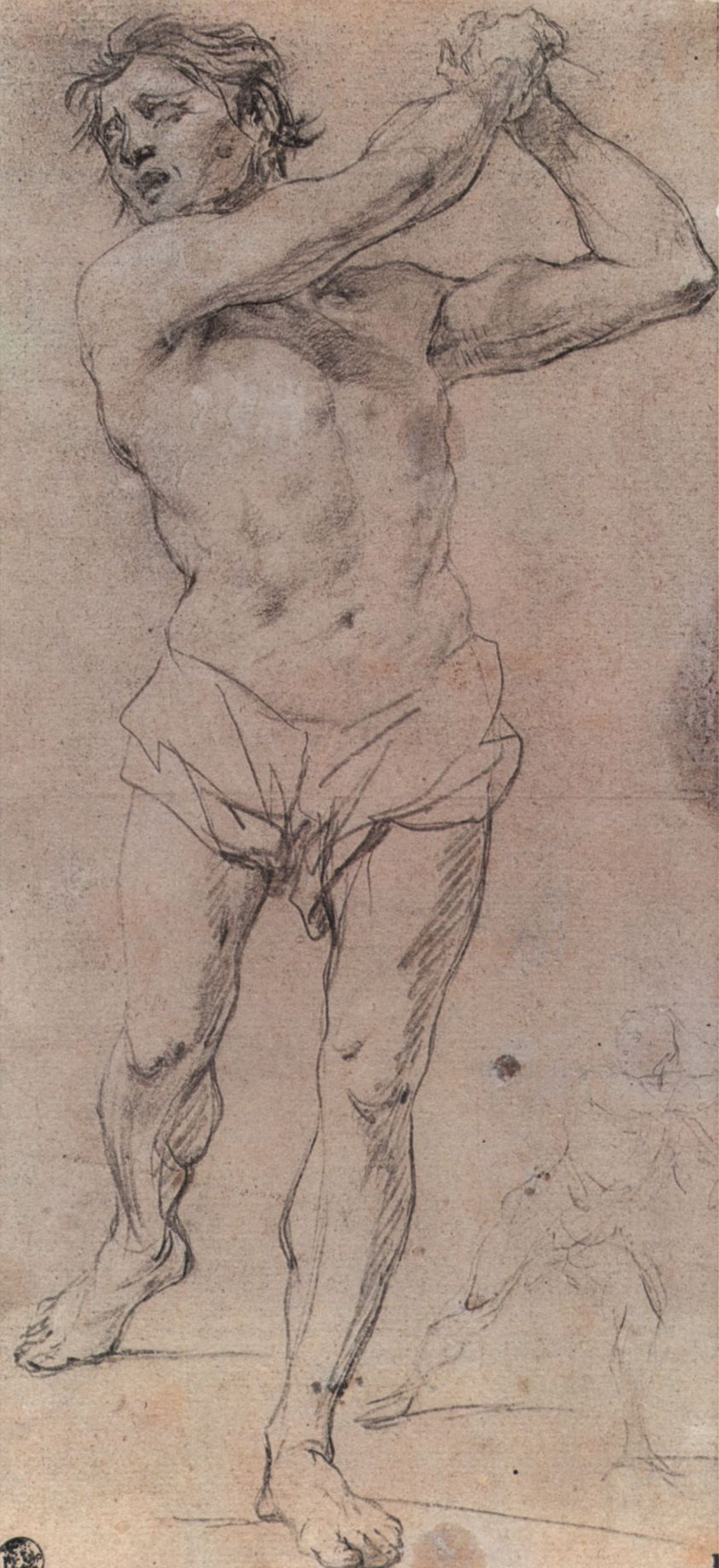 Sketch of Nude model by Francesco Trevisani: History, Analysis & Facts |  Arthive