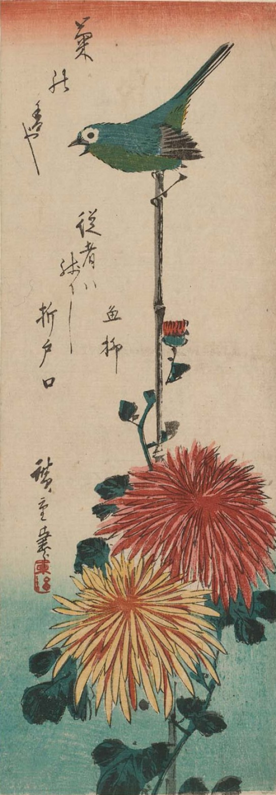Utagawa Hiroshige. Japanisches weißes Auge und Chrysantheme