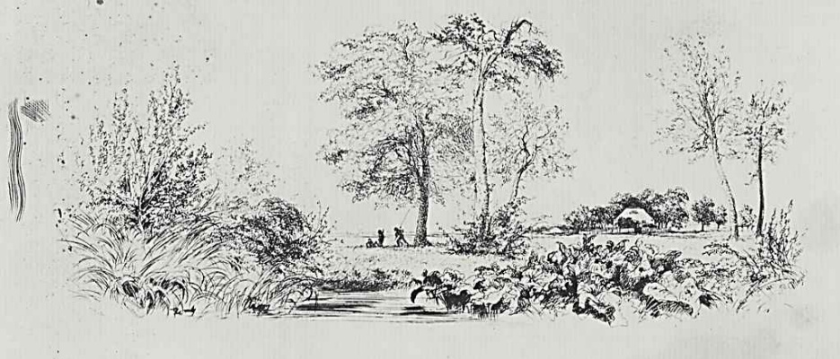 Adolf Friedrich Erdmann von Menzel. A series of "Experiments in etching" [02], Landscape with a swamp, the first state