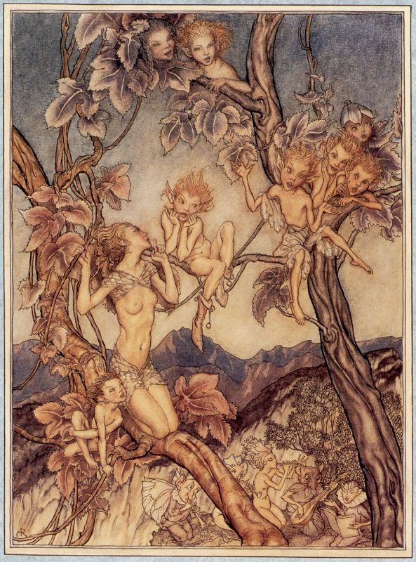 Дос досына видео береді