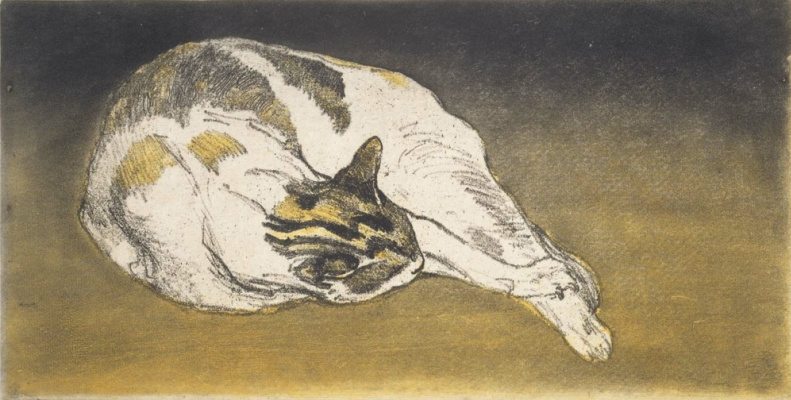 Theophile-Alexander Steinlen. Sleeping cat