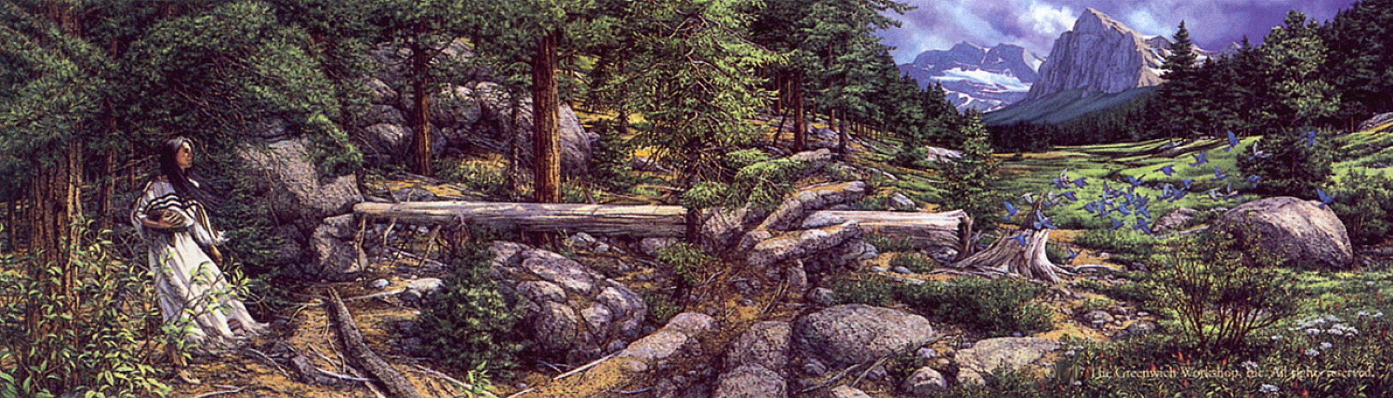アート・デザイン・音楽 THE ART OF BEV DOOLITTLE The Art of Bev