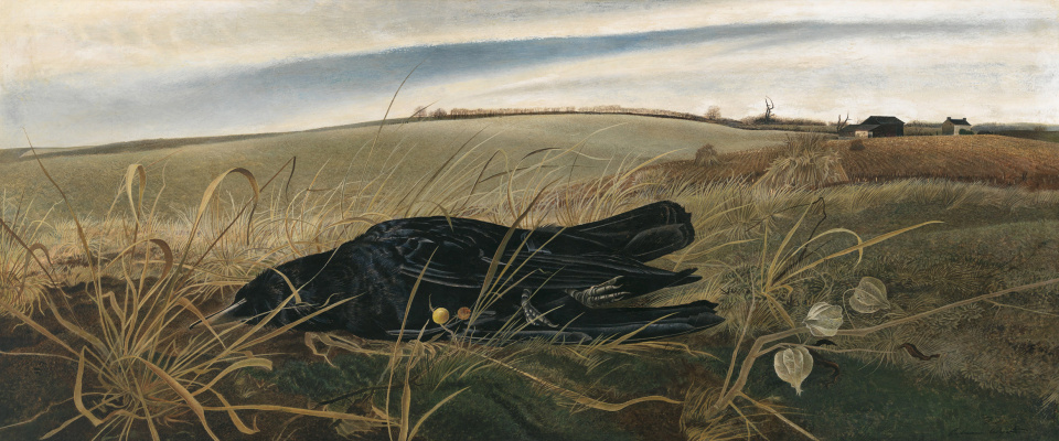 Andrew Wyeth. Winterfelder