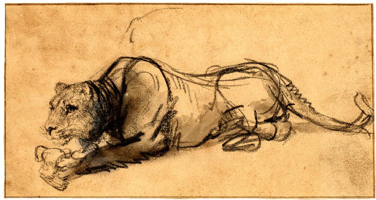 Rembrandt Harmenszoon van Rijn. 母狮吞噬一只鸟