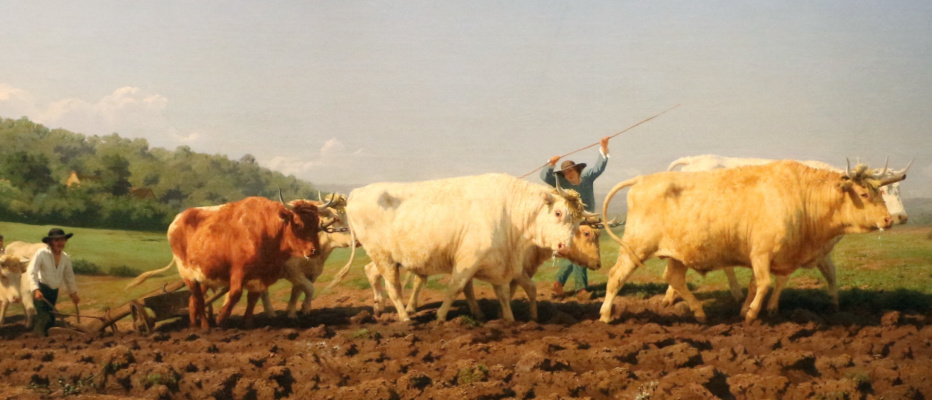 Rose Bonhur. The oxen at the plow. Fragment