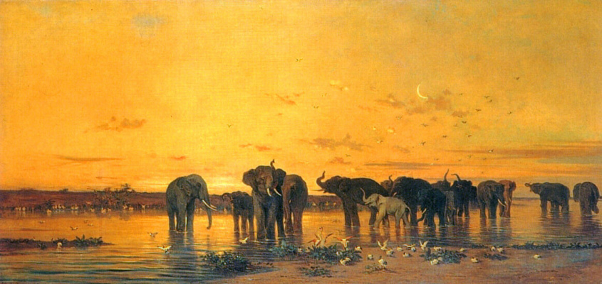 Charles de Tournemine. African elephants