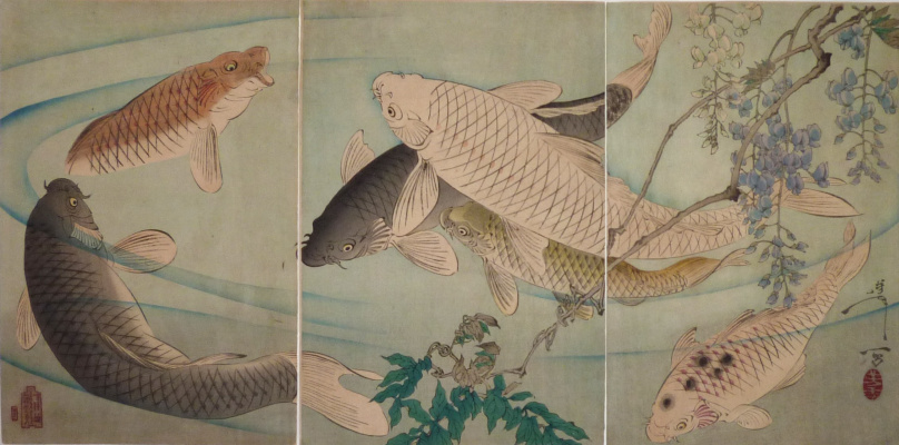 Tsukioka Yoshitoshi. Triptych: koi, floating under the hanging branches of Wisteria