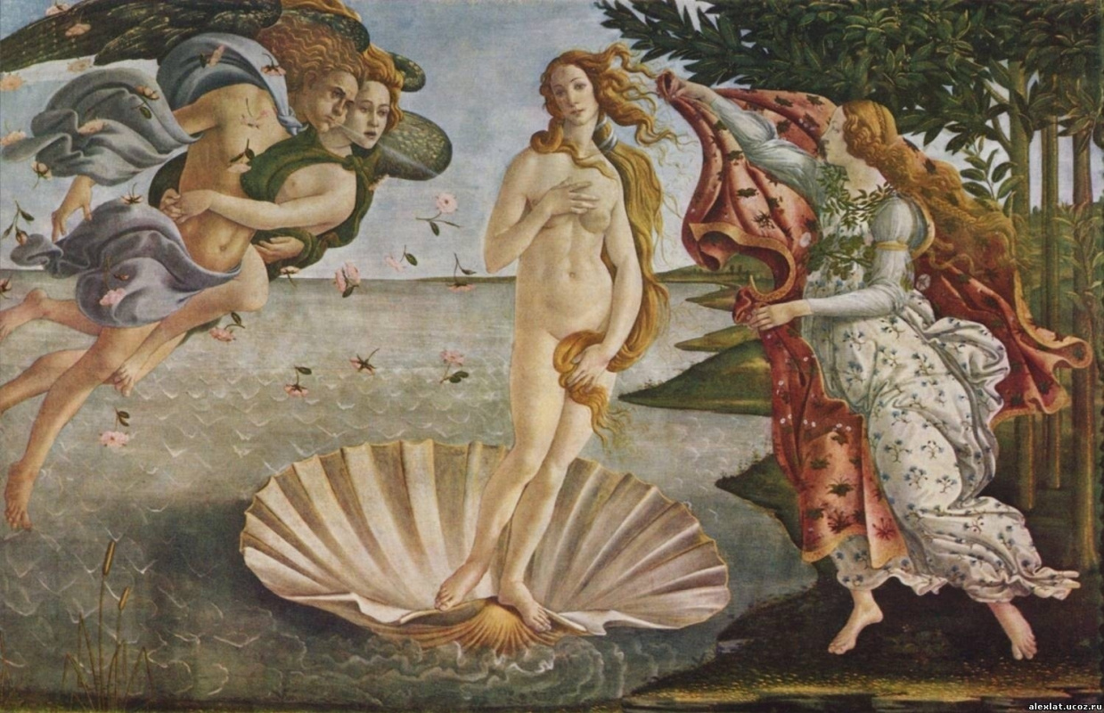 The shell as an art symbol: the blessed fruit of the sea...