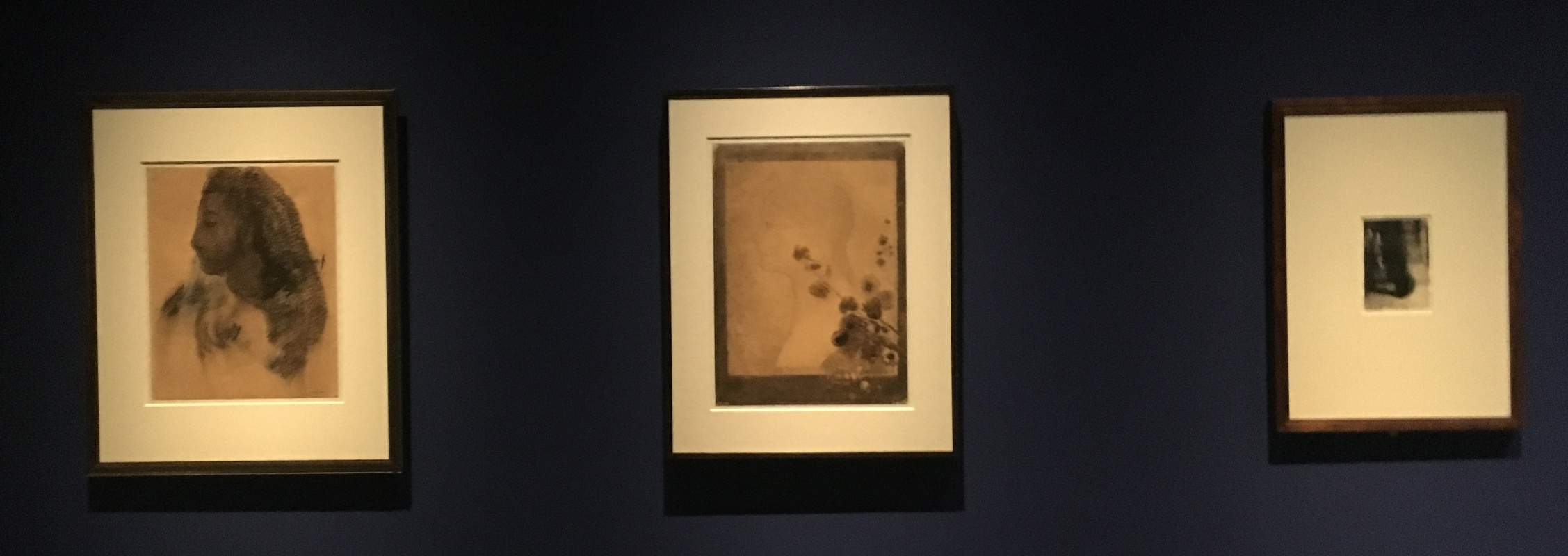 Glyptotek invites the public into the dream of Odilon Redon