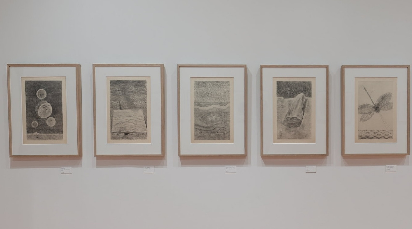 马克斯·恩斯特：自然历史: exhibition 14 六月– 13 十月, 卡门现代艺术