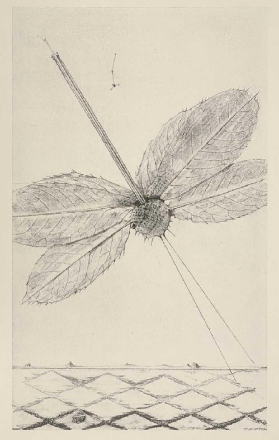 马克斯·恩斯特：自然历史: exhibition 14 六月– 13 十月, 卡门现代艺术