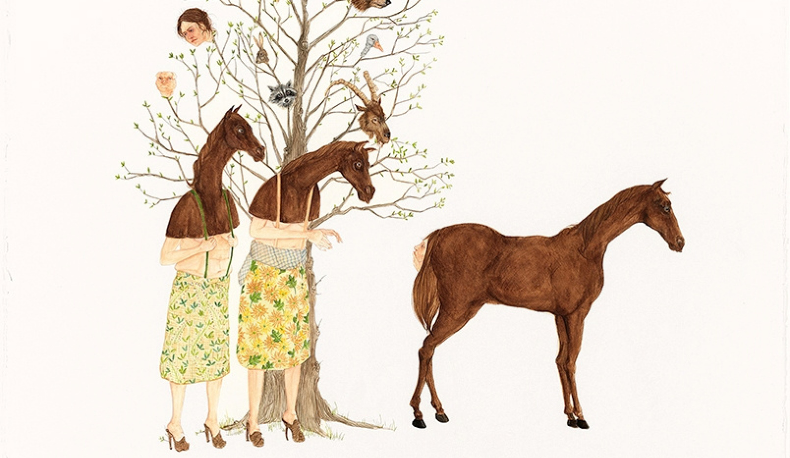 Amy cutler: exhibition 8 de febrero – 10 de mayo, Museo de arte