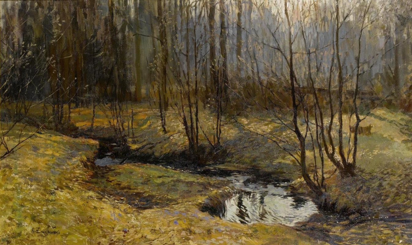 Stanislav Yulianovich Zhukovsky. Forest stream