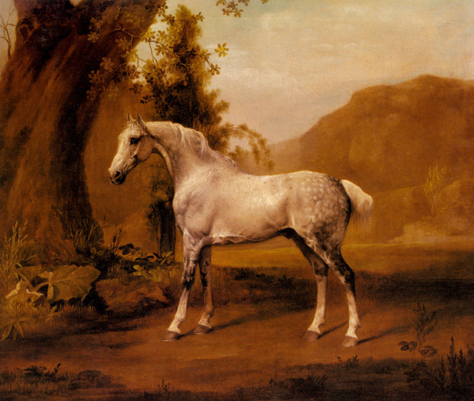 George Stubbs. Landscape with grey horse