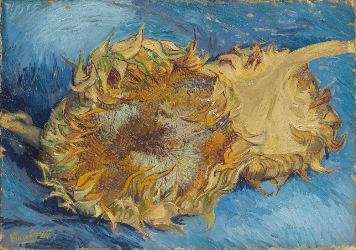 Vincent van Gogh. Sunflowers on blue