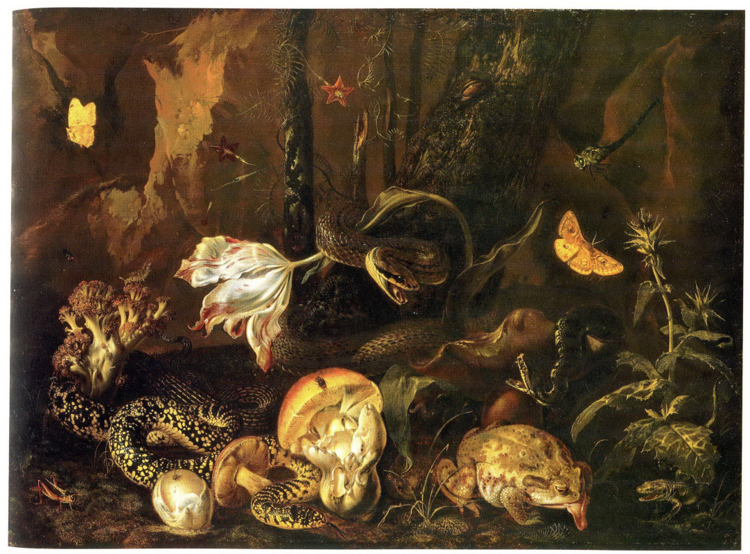 Otto Marceus van Scriec. Still life with insects and amphibians