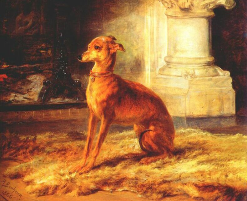 Rose Bonhur. English Greyhound (Greyhound by the fireplace)