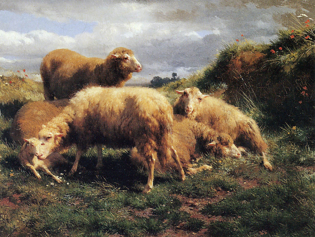 Rose Bonhur. Landscape with sheep