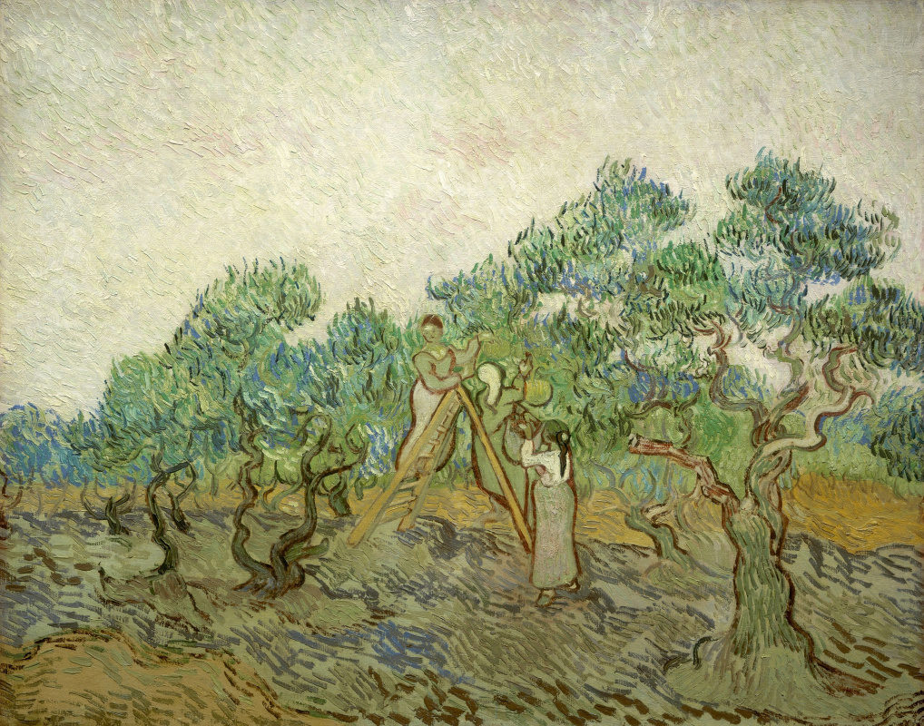 Vincent van Gogh. Picking olives (optional)