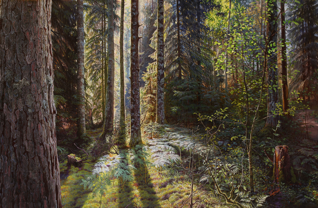 Sushienok64 @ mail.ru Mikhailovich Sushenok Igor. Coniferous forest