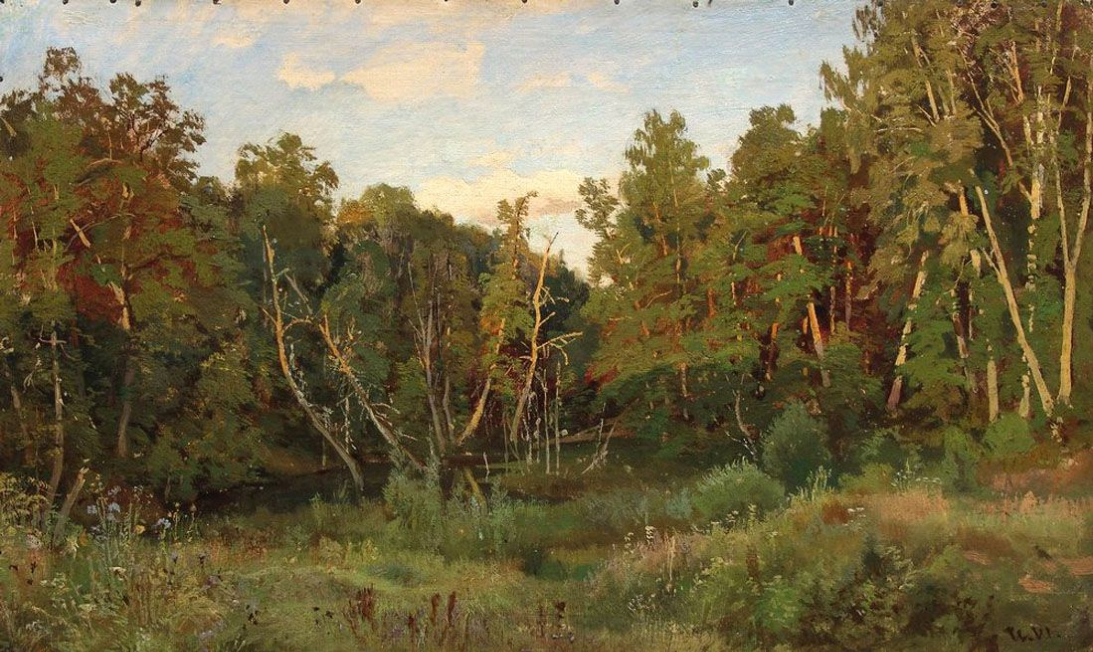 Forest landscape, XIX by Ivan Shishkin: History, Analysis & Facts