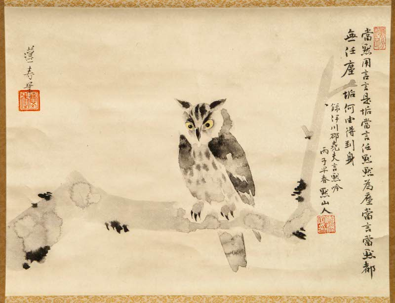 Yamaguchi Hosyung. Owl (detail of scroll)