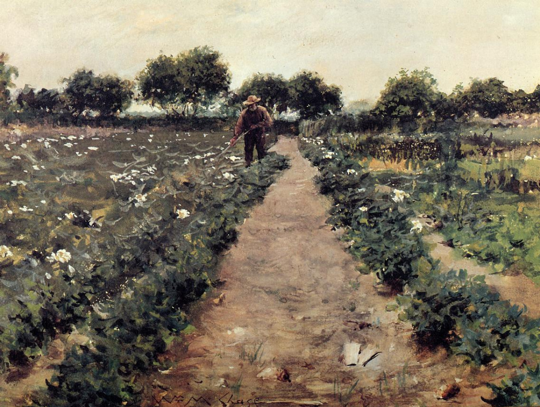 William Merritt Chase. Potato field