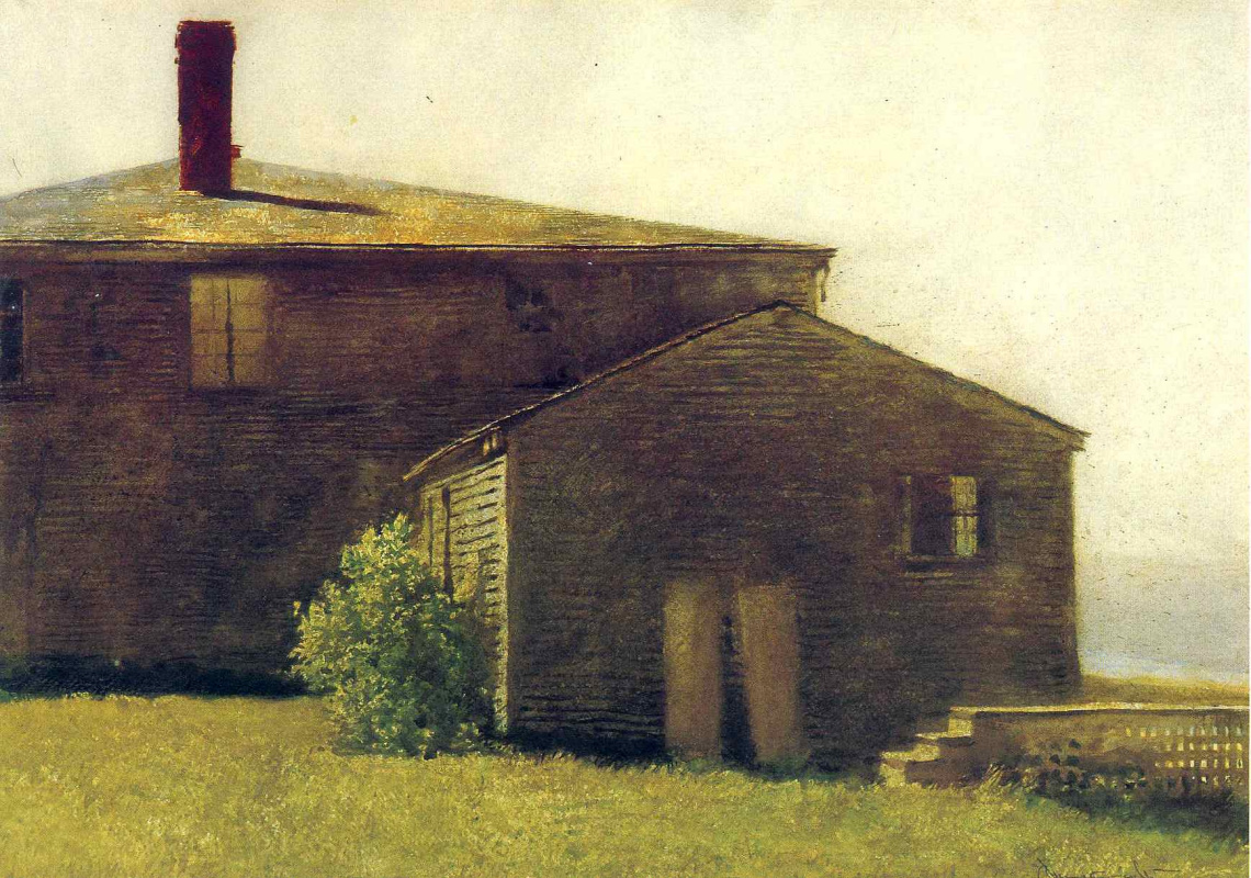 Jamie Wyeth. Morning, island Monhegan