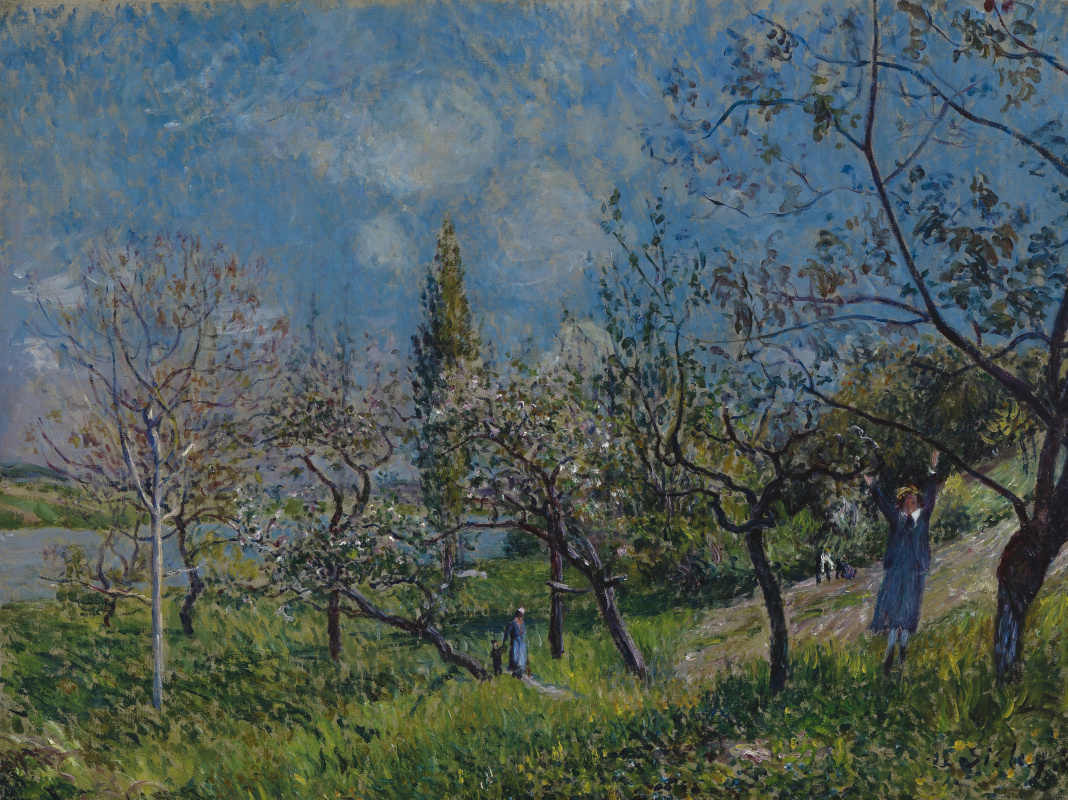 Alfred Sisley. Fruit garden in spring