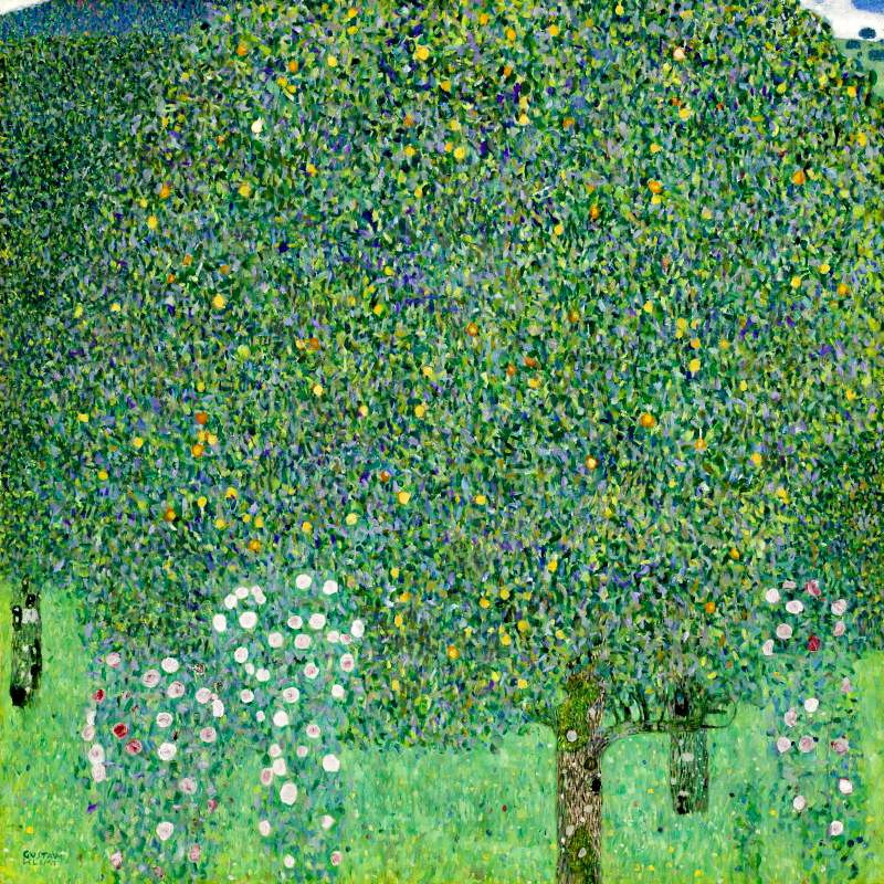 Gustav Klimt. Rose sotto gli alberi