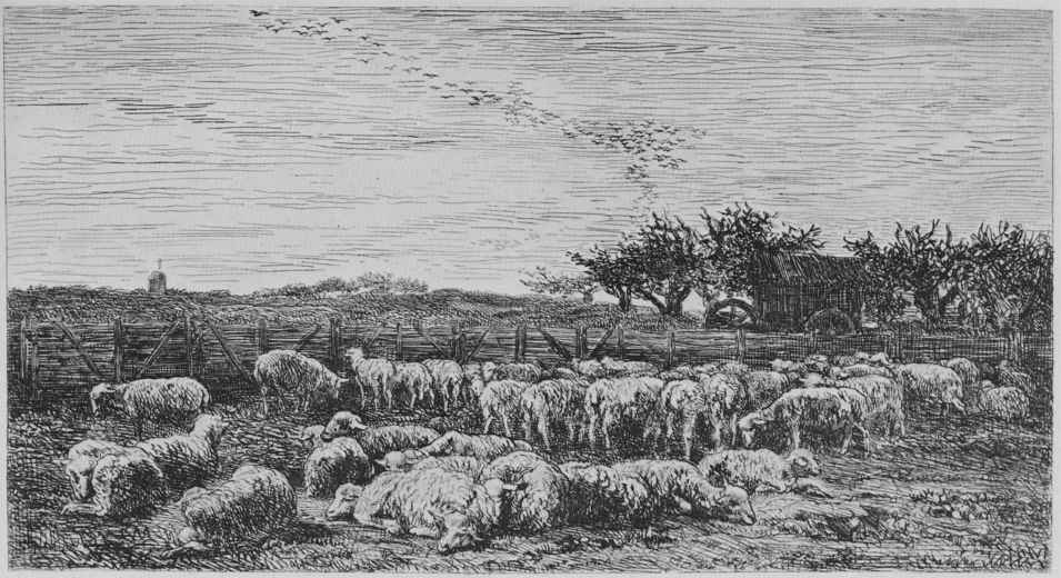 Шарль-Франсуа Добиньи. Большой загон для овец