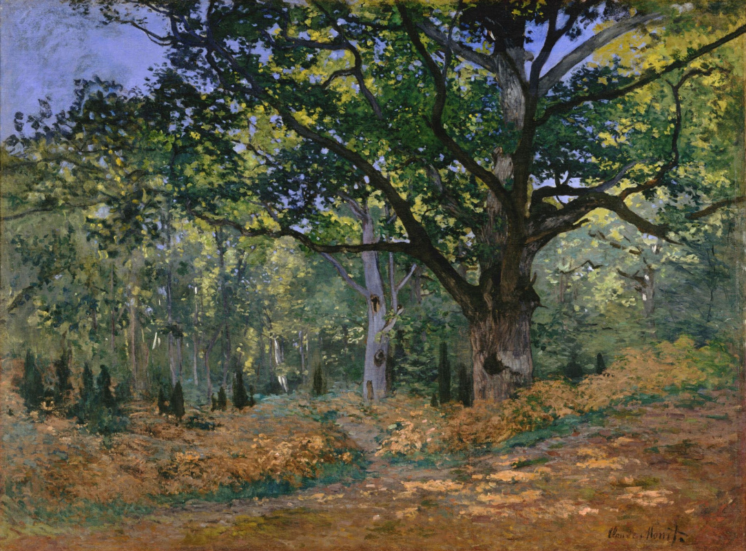 Claude Monet. Bodmer oak, forest of Fontainebleau