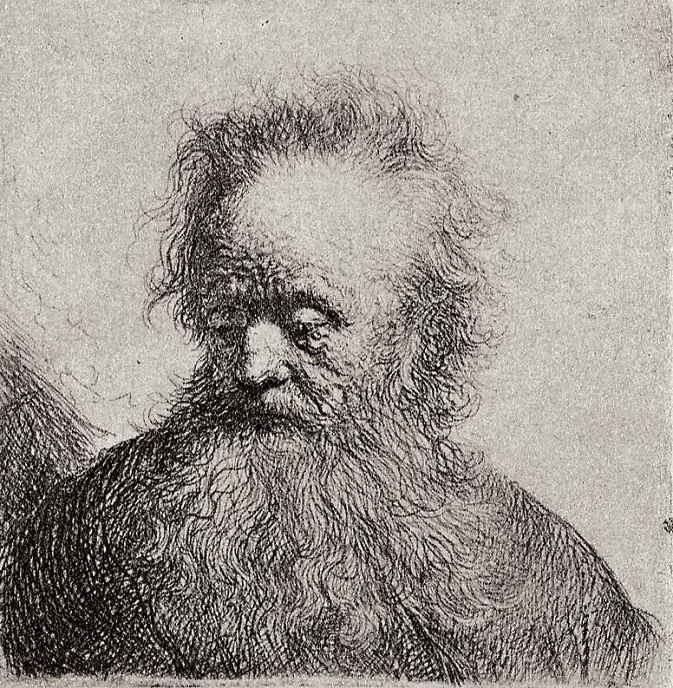 Rembrandt Harmenszoon van Rijn. The head of a man with a long beard, looking to the side