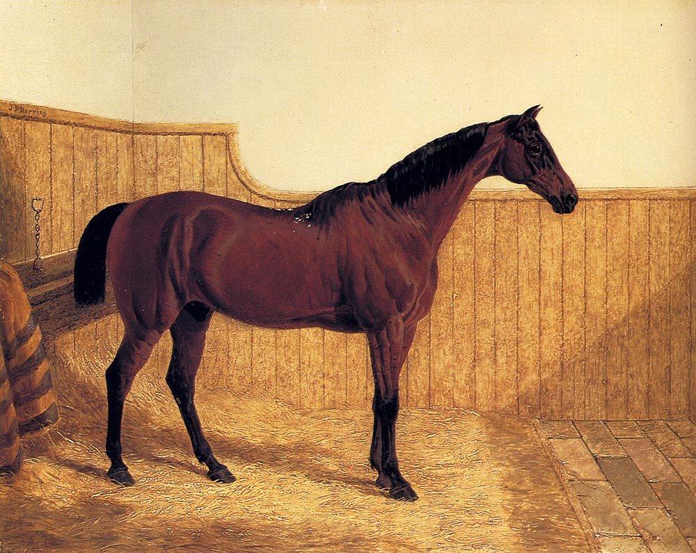 John Frederick Herring. Horse