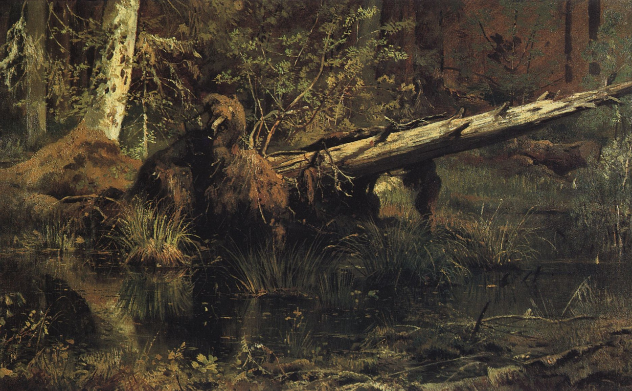 Ivan Shishkin. Forest (Shmetsk near Narva)