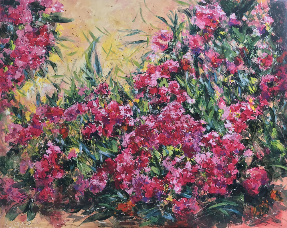 Diana Malivani. Oleander