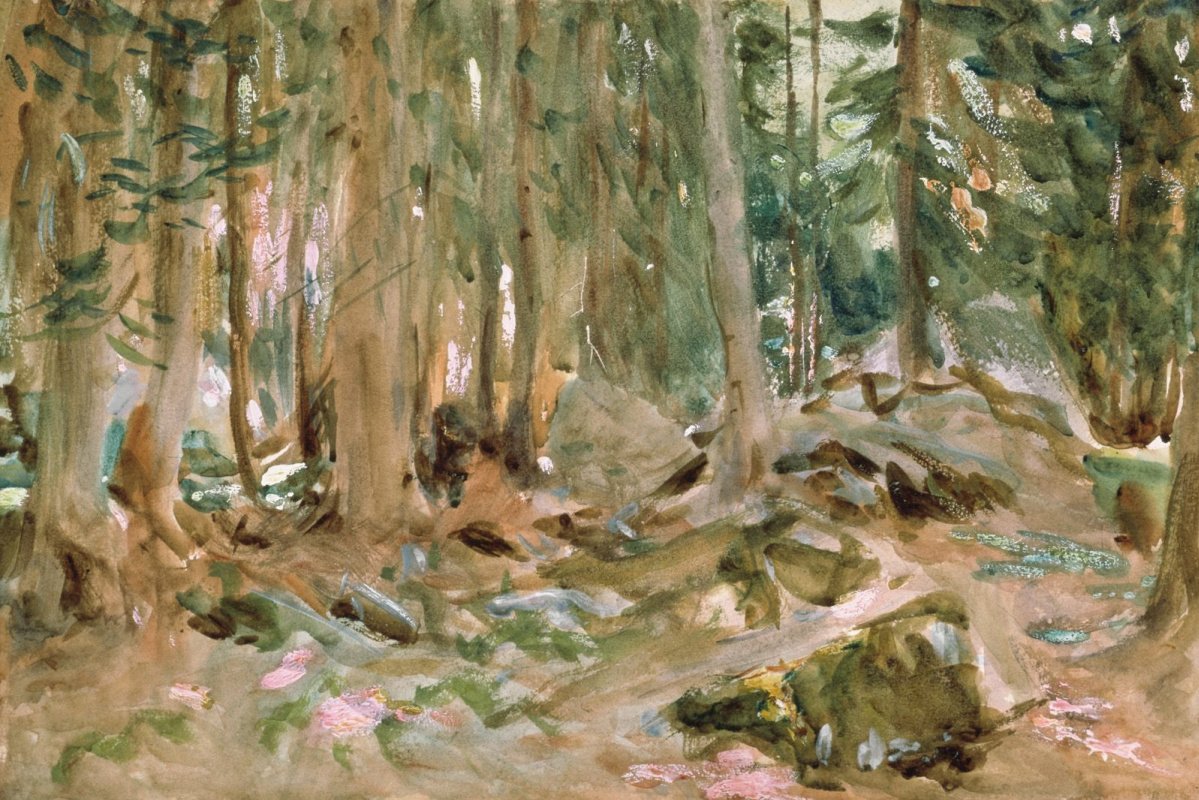 John Singer Sargent. Pine forest