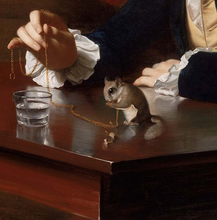 John Singleton Copley. Boy with a squirrel-a flying squirrel (Henry Pelham). Fragment