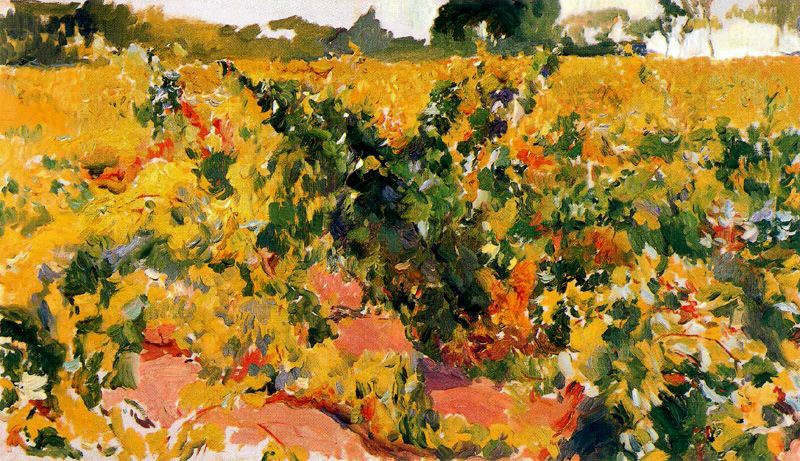 Joaquin Sorolla (Soroya). A sketch of the vineyard, sherry