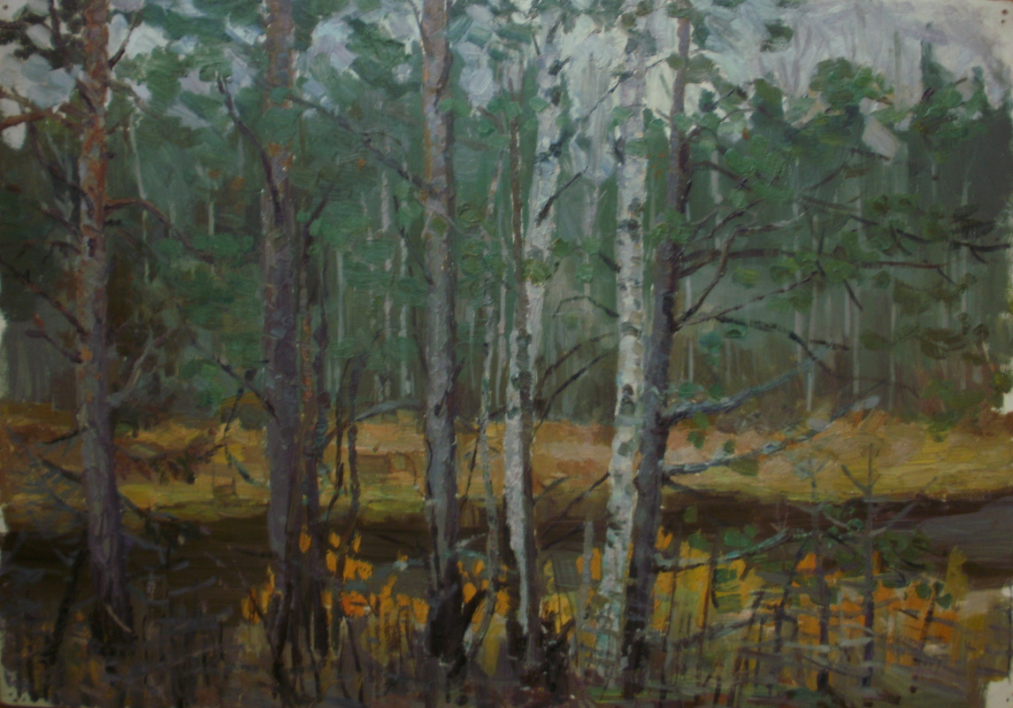 Nina Vasilievna Sedova. Forest etude