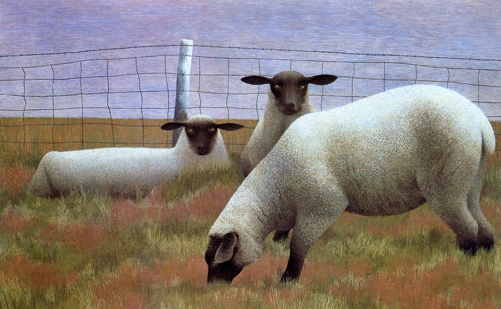 Alex Colville. Three sheep