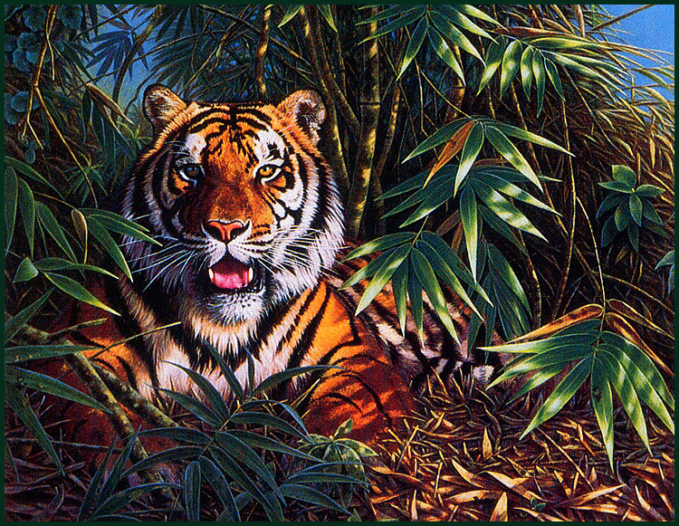 Джоан Шаррок. Тигр