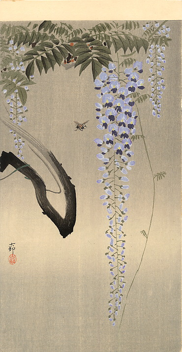 Ohara Koson. Wisteria and bee