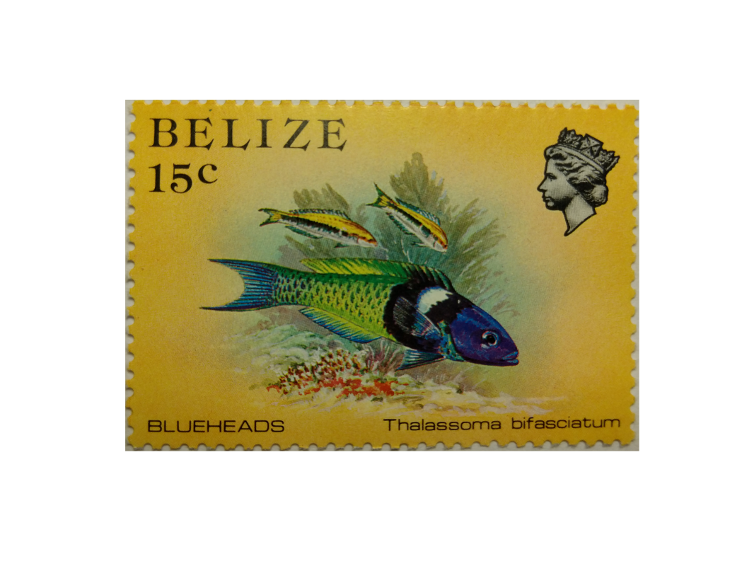 Arthur Gabdrupes. "Image": "Brand"; Mail: Belize. "Archiv" (v) (2)