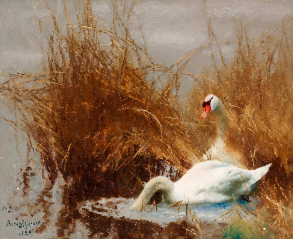 Bruno Liljefors. Swans near the shore