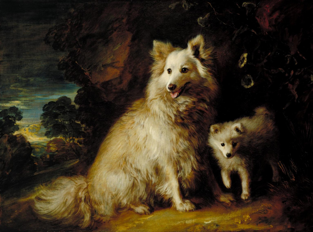 Two dogs – beach and poppy (Pomeranian female puppy)