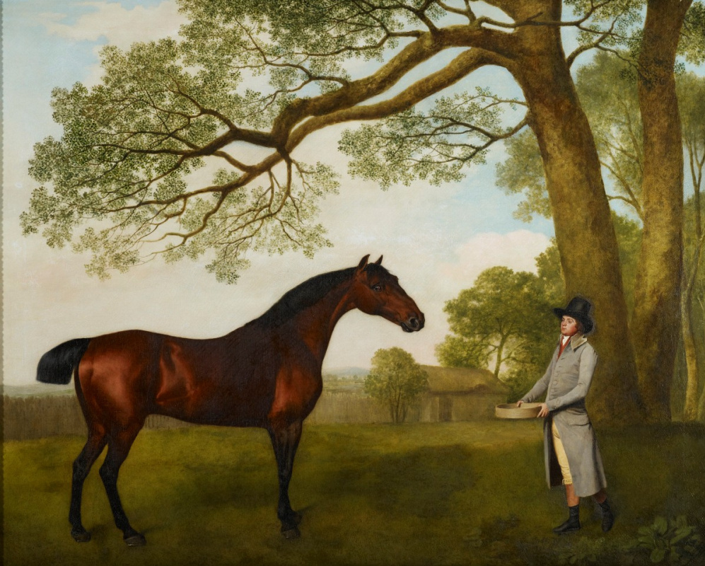 George Stubbs. John Gascoigne, the chief groom of the Prince of Wales with a horse