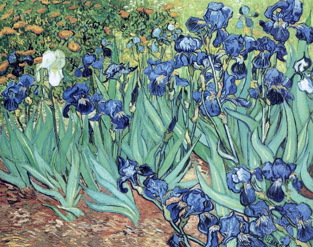 Vincent van Gogh. Iris