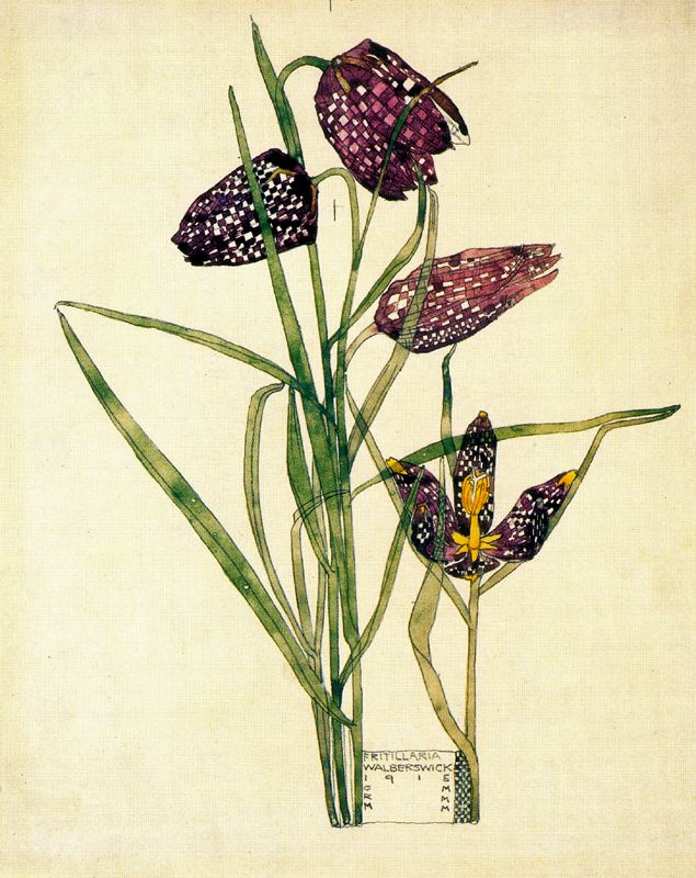 Charles Renny McIntosh. Floral motif 16
