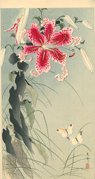 Ohara Koson. Lily